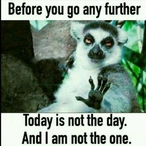 Meet your Posher, Dawn